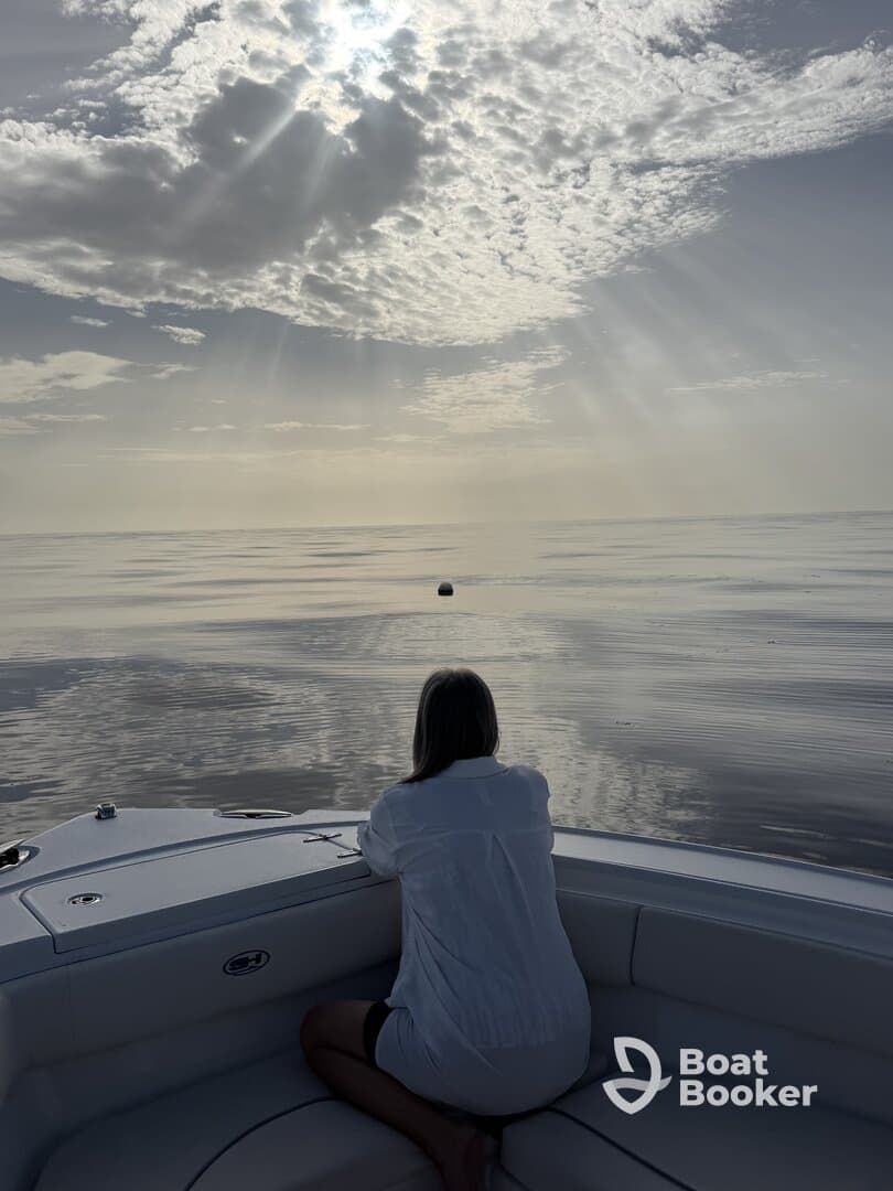 A serene moment as a woman gazes out over calm waters, reflecting the beauty of the sky — perfect for peaceful sunset cruises.