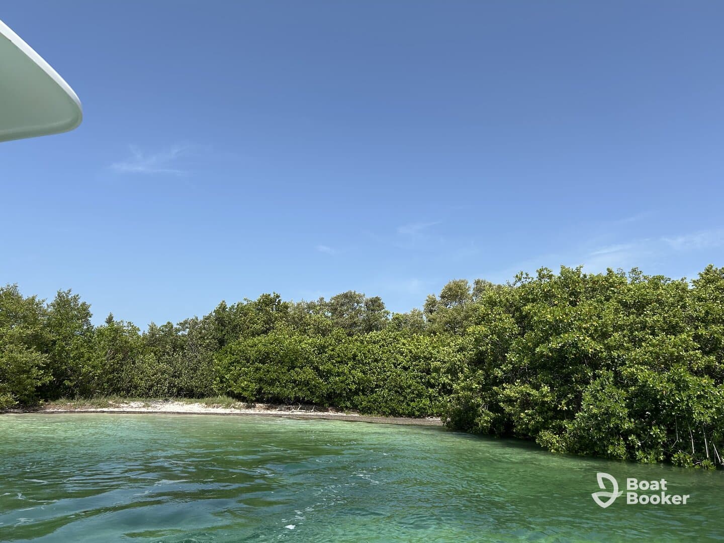 A serene view of a mangrove coastline under a clear blue sky, showcasing the natural beauty of the waterway — perfect for eco tours and nature exploration.