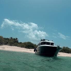 A striking view of a yacht anchored near a sandy beach, showcasing its sleek design against a backdrop of clear blue skies and lush greenery.