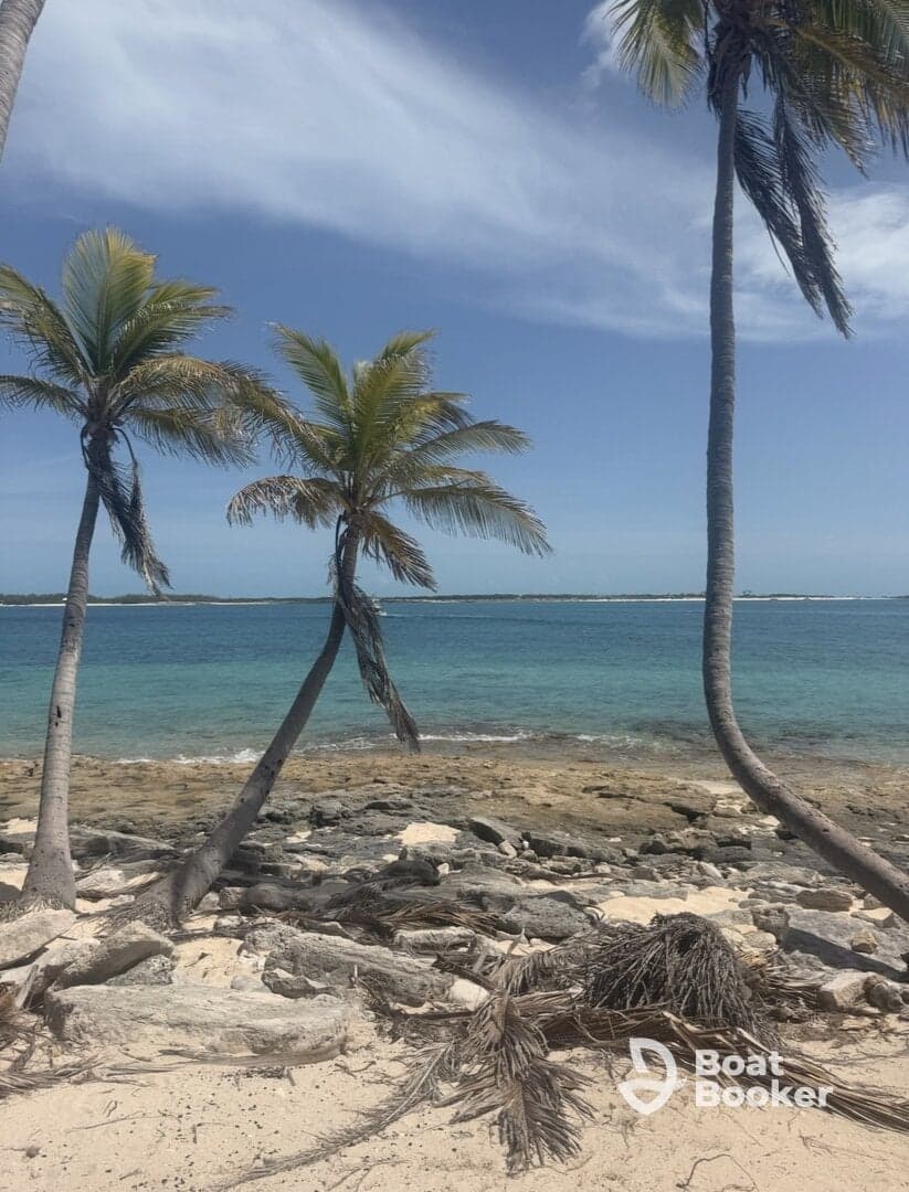 A serene beach scene featuring palm trees and clear turquoise waters, perfect for a relaxing getaway or island exploration.