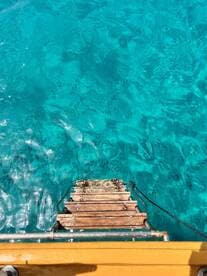 An overhead view of a wooden ladder leading into clear turquoise waters, showcasing the vibrant aquatic environment.