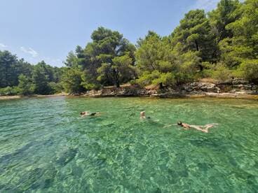 A group enjoys a refreshing swim in crystal-clear waters surrounded by lush greenery, perfect for a relaxing day in nature.