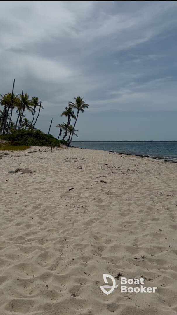 A serene beach scene featuring soft sand and palm trees, perfect for a relaxing getaway or beach day.