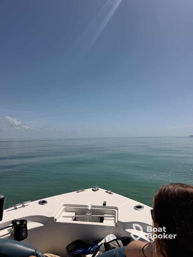 Great Time at the Sandbar!