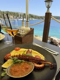A beautifully plated dish featuring grilled octopus, accompanied by fresh tomatoes and a savory sauce, set against a stunning coastal backdrop — perfect for enjoying gourmet meals while on a boat trip.