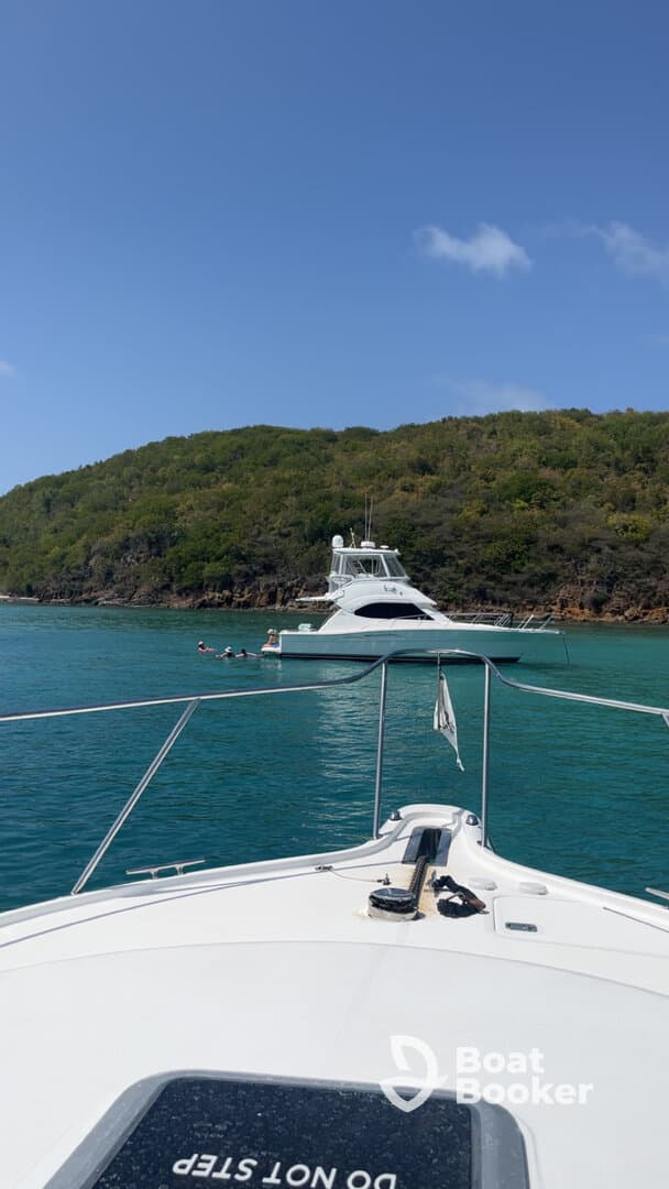 A scenic view of a group enjoying the water near a yacht, with lush greenery in the background — perfect for a day of fun and relaxation on the water.