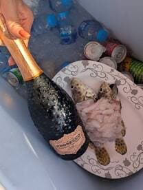 A refreshing bottle of prosecco alongside freshly caught fish and chilled beverages in a cooler, perfect for a day on the water.
