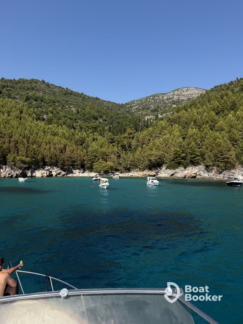 A scenic view of a tranquil bay with multiple boats anchored, showcasing the beauty of nature and a perfect spot for swimming and relaxation.