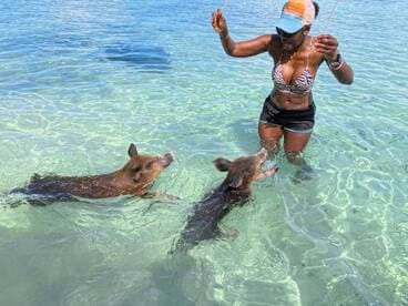 A woman interacts with swimming pigs in crystal-clear waters, showcasing a unique wildlife experience in the Bahamas.