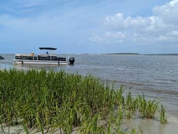 A pontoon boat is docked near the shore, surrounded by lush greenery and calm waters, perfect for leisurely outings on the water.