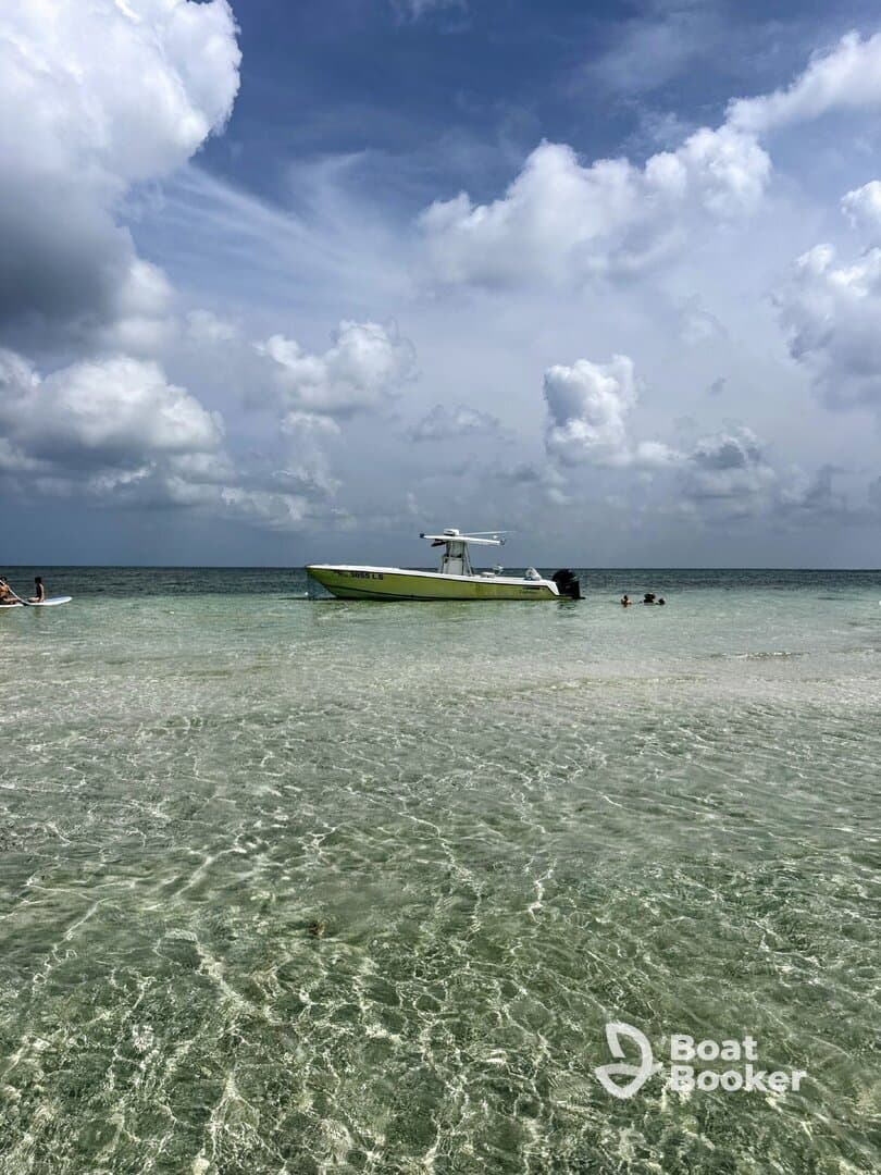 A vibrant scene at a sandbar with guests enjoying the clear waters, while a boat is anchored nearby — perfect for a fun day on the water.