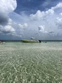A vibrant scene at a sandbar with guests enjoying the clear waters, while a boat is anchored nearby — perfect for a fun day on the water.