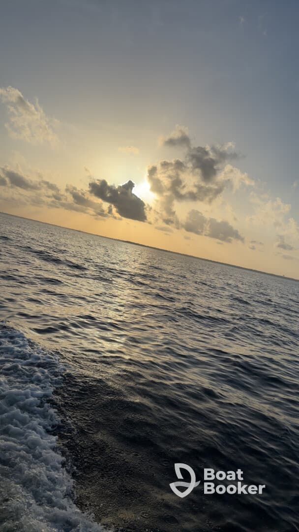 A stunning sunset over the ocean, capturing the serene beauty of a boating experience — perfect for those seeking picturesque views on the water.