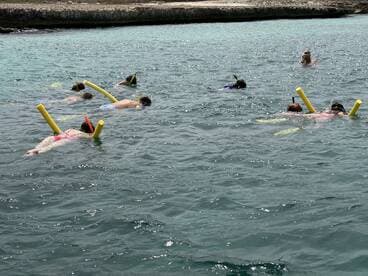 A group of snorkelers enjoys exploring the underwater world, showcasing the fun and adventure of a snorkeling trip in clear waters.