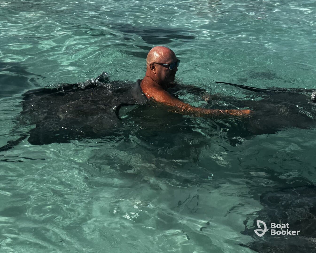 A man interacts closely with a stingray in shallow, clear waters, showcasing a unique wildlife experience in a tropical setting.