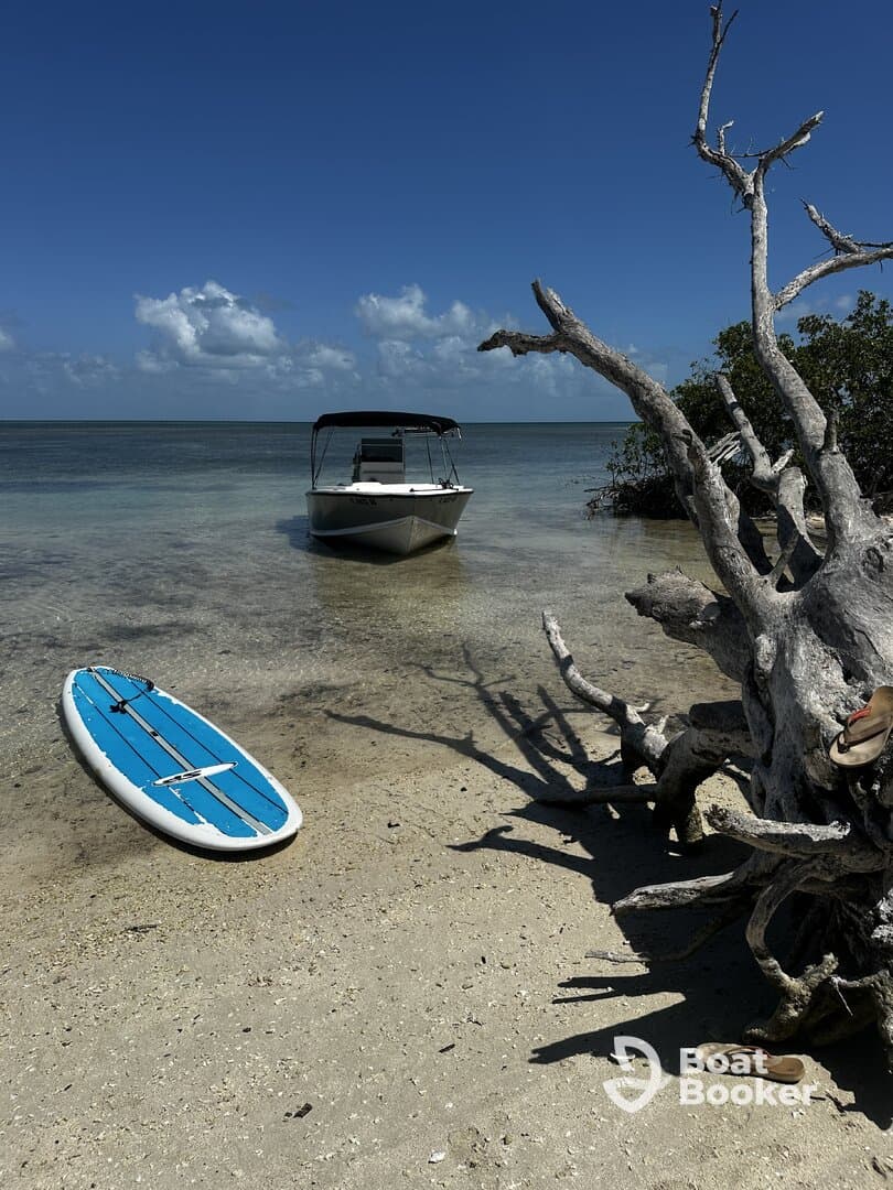 A serene view of a boat anchored near a sandy beach, with a paddleboard resting on the shore, perfect for a day of relaxation and water activities.