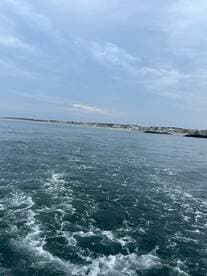 A serene view of the coastline with gentle waves, perfect for showcasing the beauty of a day on the water.