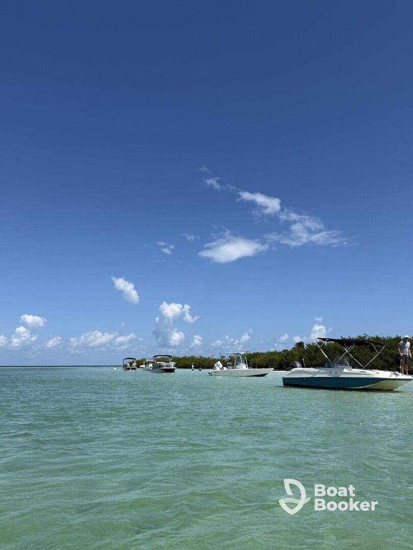 A picturesque view of several boats anchored along a beautiful coastline, showcasing a perfect day for boating and enjoying the serene waters.