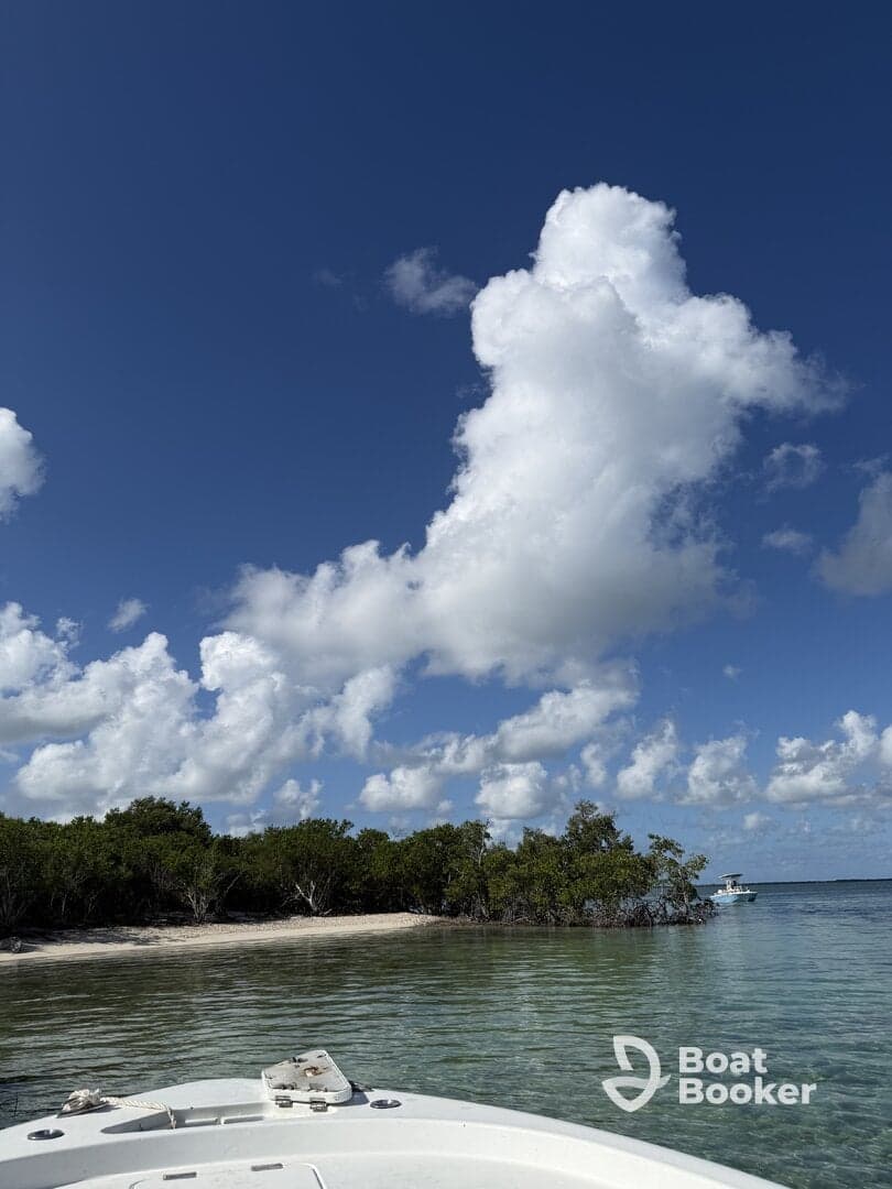 A picturesque view of a serene coastline with mangroves and fluffy clouds, perfect for capturing the beauty of a day on the water.