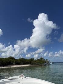 A picturesque view of a serene coastline with mangroves and fluffy clouds, perfect for capturing the beauty of a day on the water.