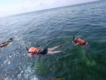 Two snorkelers explore the vibrant underwater world, showcasing the excitement of ocean adventures. Perfect for those seeking thrilling aquatic experiences.