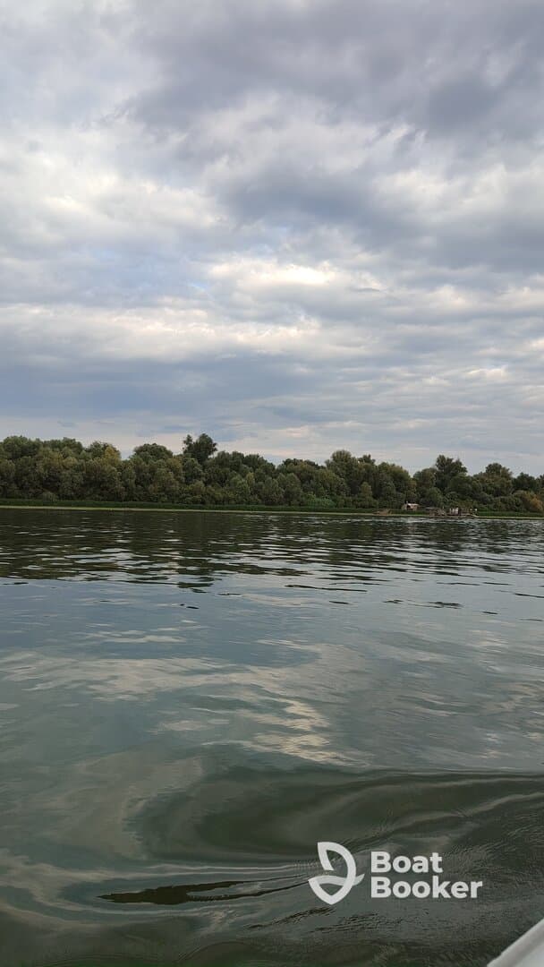 A tranquil view of a riverbank with trees under a cloudy sky, capturing the serene atmosphere of nature.