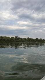 A tranquil view of a riverbank with trees under a cloudy sky, capturing the serene atmosphere of nature.