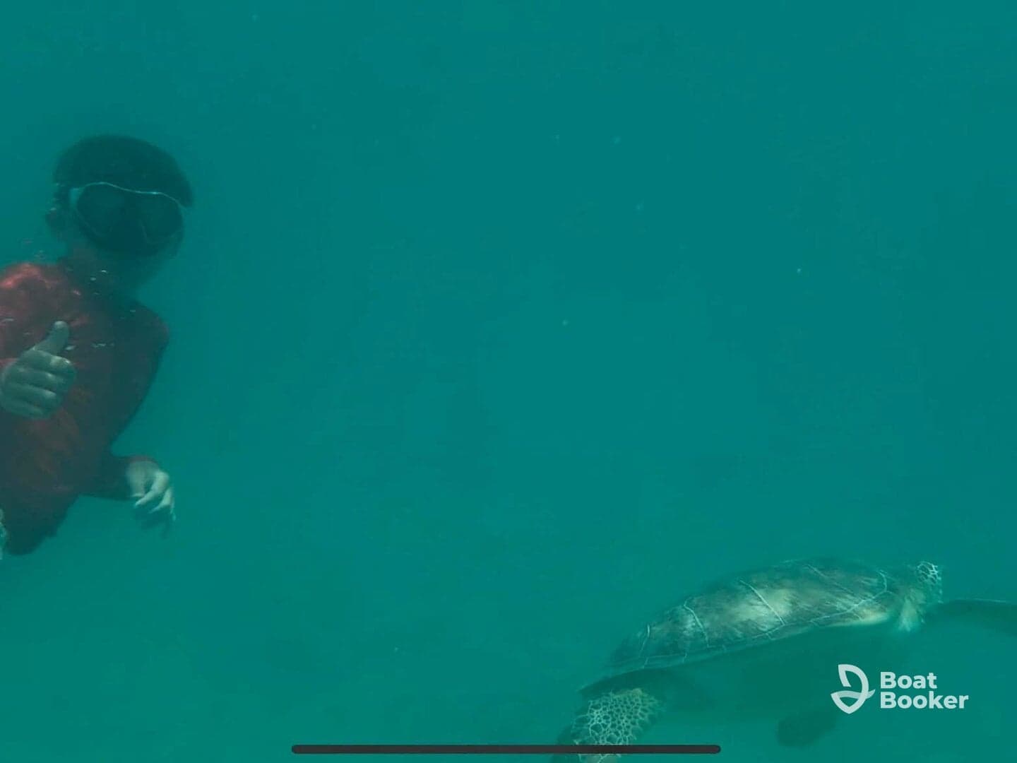 A child gives a thumbs up while swimming alongside a sea turtle in crystal-clear waters — a memorable wildlife encounter perfect for ocean adventures.