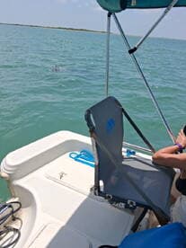 A close-up view of a dolphin swimming near a boat, showcasing a unique wildlife encounter on the water.