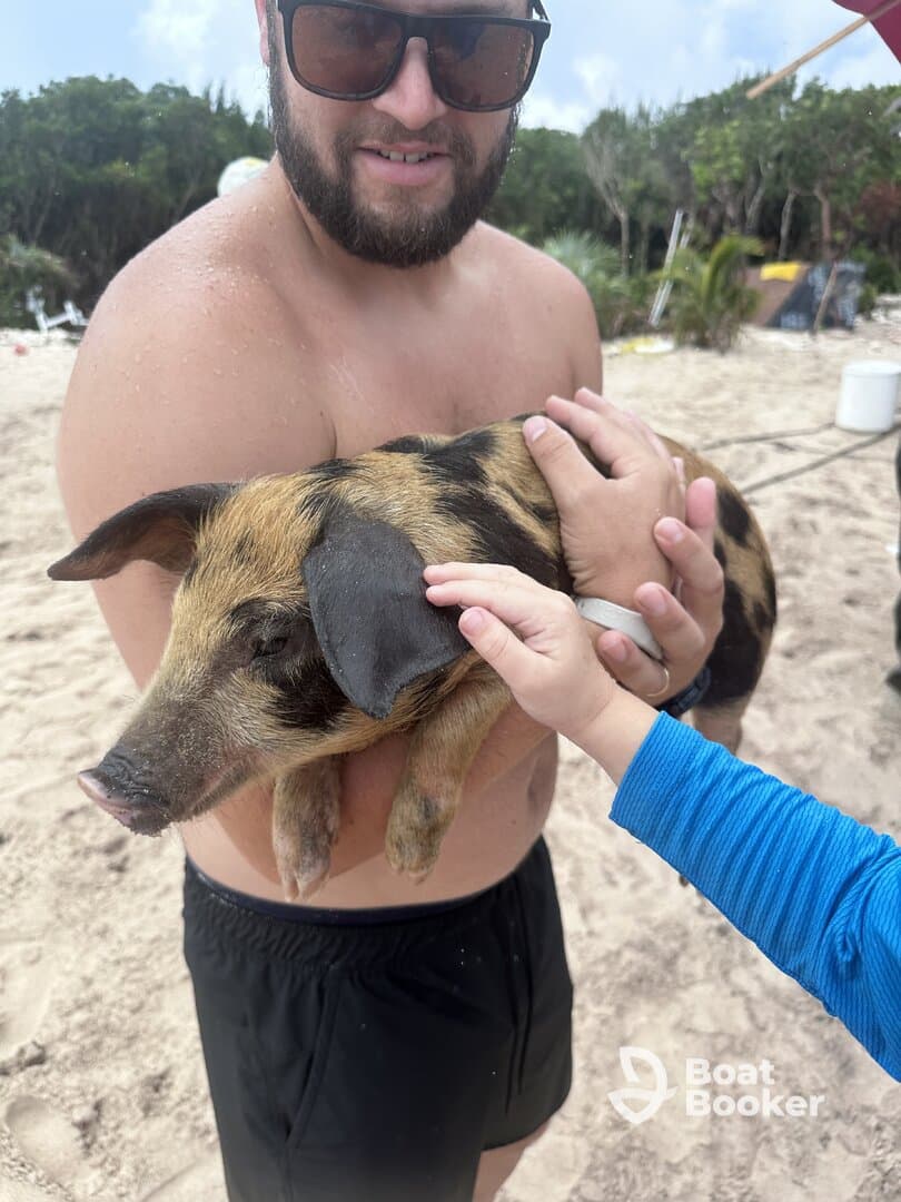 A man holds a pig while a child reaches out to pet it, showcasing a delightful interaction with wildlife on the beach.