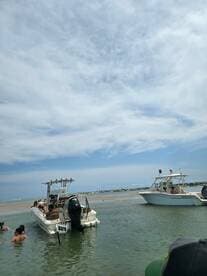 A lively scene at a sandbar with guests enjoying the water and relaxing on boats — perfect for summer fun and group outings.