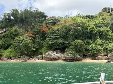 A picturesque view of a lush coastline with vibrant greenery and rocky formations, perfect for exploring hidden beaches and enjoying nature's beauty.