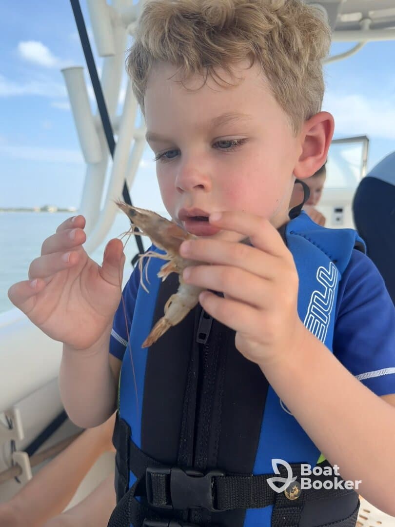 A young boy curiously examines a shrimp while on a boat, showcasing a delightful moment of marine exploration — perfect for family adventures on the water.