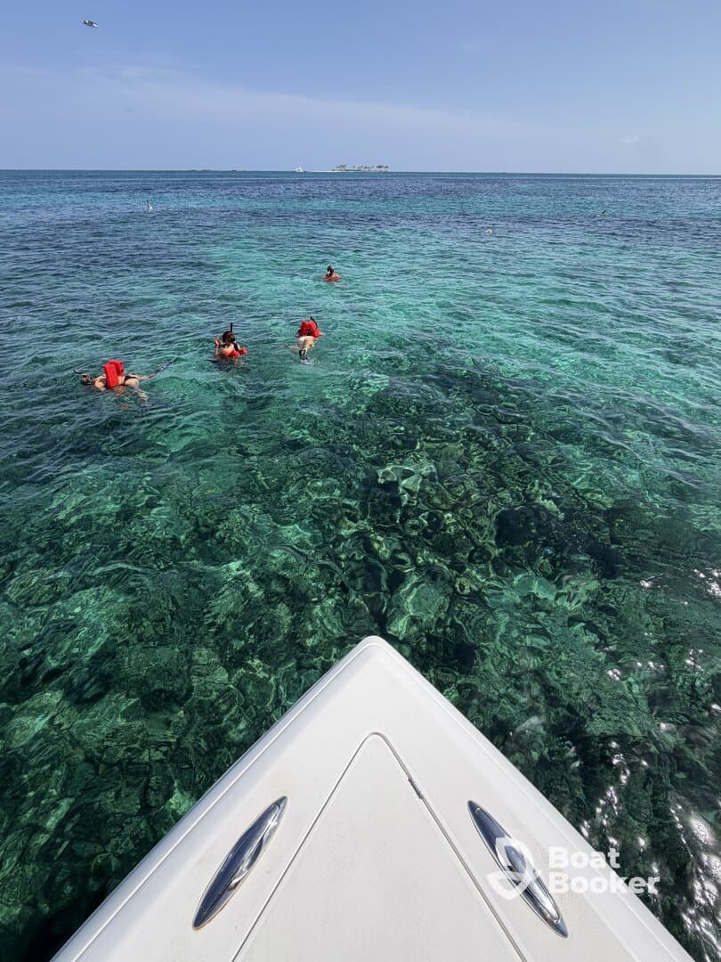 A group of snorkelers explores the vibrant underwater world in crystal-clear waters, showcasing the excitement of marine adventures.