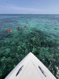 A group of snorkelers explores the vibrant underwater world in crystal-clear waters, showcasing the excitement of marine adventures.