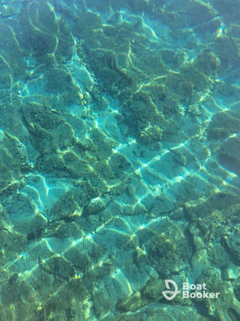 An underwater view showcasing the rocky seabed and light reflections, creating a serene aquatic scene.