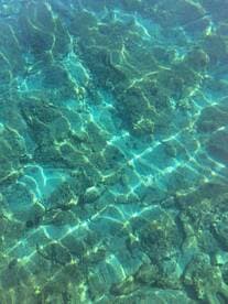 An underwater view showcasing the rocky seabed and light reflections, creating a serene aquatic scene.