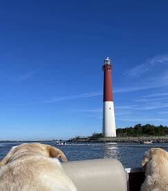 Two dogs enjoy a scenic view of a lighthouse while on a boat, capturing a perfect moment of relaxation and adventure on the water.