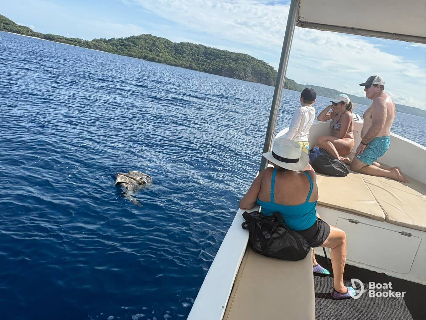 A family enjoys a close encounter with a turtle while on a boat trip, showcasing the beauty of marine wildlife in a stunning ocean setting.