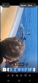 A close-up shot of dolphins swimming alongside a boat, showcasing a thrilling wildlife encounter in the open sea.