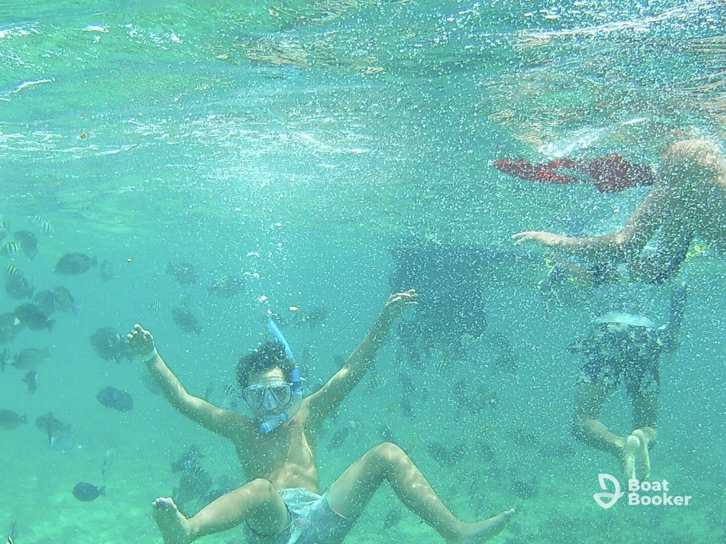 A child enjoys snorkeling among colorful fish in clear waters, showcasing a vibrant underwater experience perfect for family adventures.