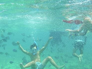 A child enjoys snorkeling among colorful fish in clear waters, showcasing a vibrant underwater experience perfect for family adventures.