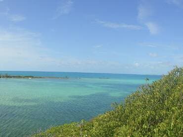 A stunning view of turquoise waters and a serene coastline, perfect for showcasing the natural beauty of the Bahamas.