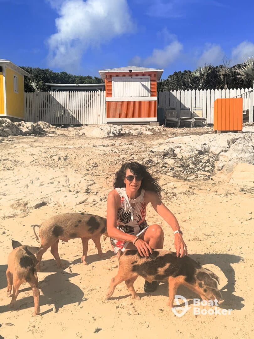 A woman interacts with friendly pigs on the beach, showcasing a unique wildlife experience in the Bahamas.
