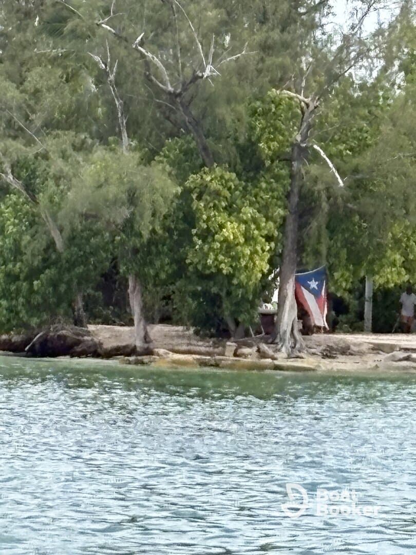 A view of a shoreline with trees and a flag, but the image is unclear and lacks focus.