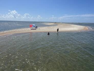 Guests enjoy a sunny day at a sandbar, with some swimming and relaxing on the beach — a perfect spot for fun and relaxation on the water.