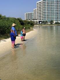 A family enjoys a day of fishing along the beach, creating lasting memories in a beautiful outdoor setting.