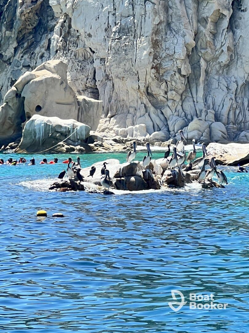 Hightlight of our Cabo trip!