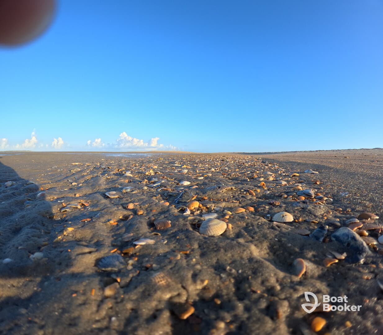 A close-up view of a sandy beach scattered with seashells under a clear blue sky, though the image is slightly unclear.