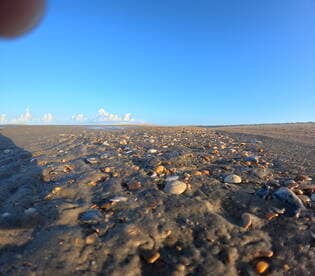 A close-up view of a sandy beach scattered with seashells under a clear blue sky, though the image is slightly unclear.